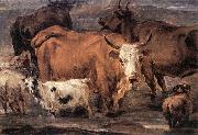 BERCHEM, Nicolaes Animal Study dd oil